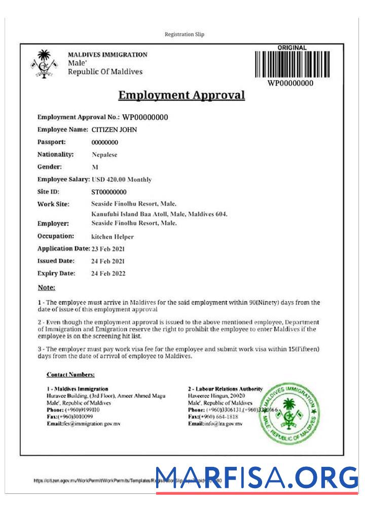 Realistic Maldives e visa template